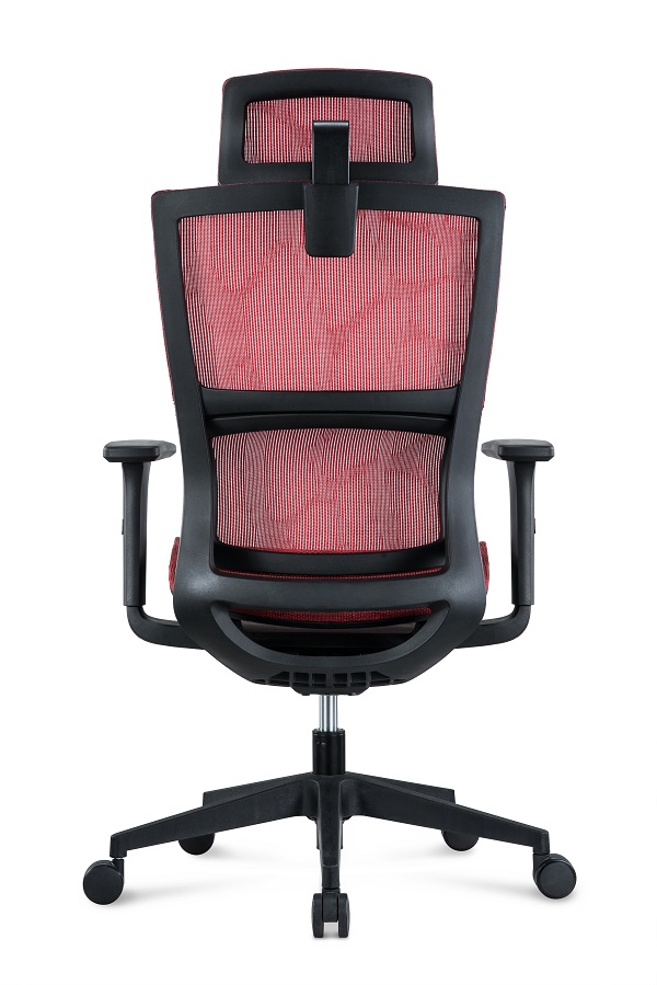 ergonomic chair 233a